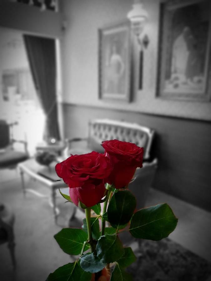 Elysion Hotel Istanbul Luaran gambar